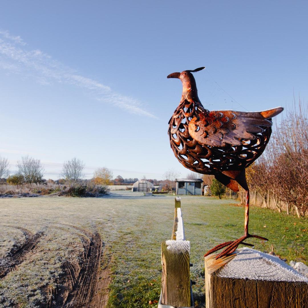 The Pheasant Public House & Hotel Gestingthorpe المظهر الخارجي الصورة